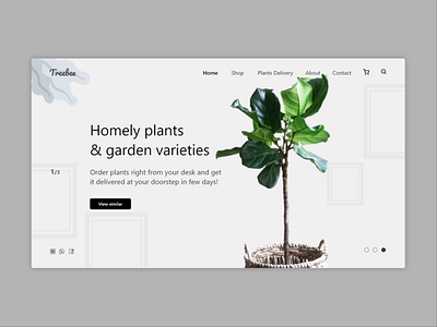 plants web landing page UI