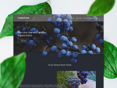 Farm Fresh Blueberries design ui ui designer web webdesign