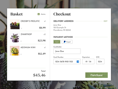 Cactus Checkout - DailyUI - 002 cactus checkout page credit card form dailyui design green plants ui