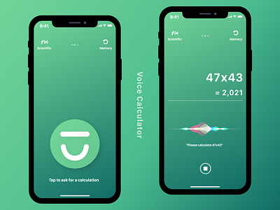 Voice Caulculator - Daily ui