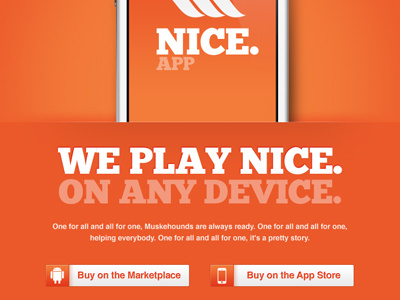 Nice app landing page 4