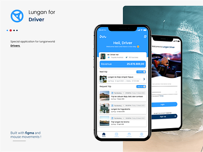 Lungandriver App