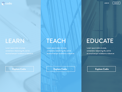 Three Way Split blue codio education school split university web website
