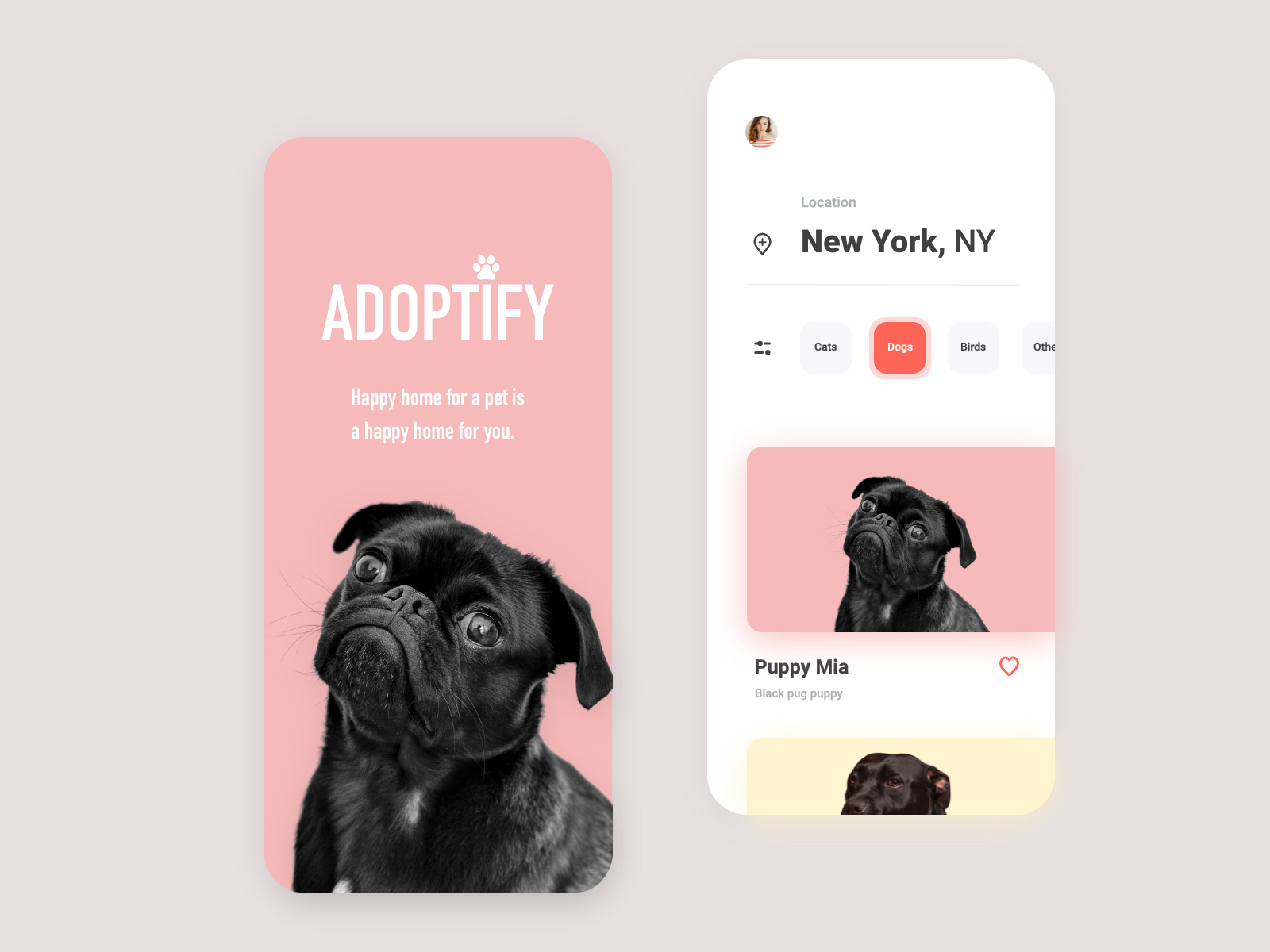 Pet Adoption App by Andreas Kruszakin-Liboska on Dribbble