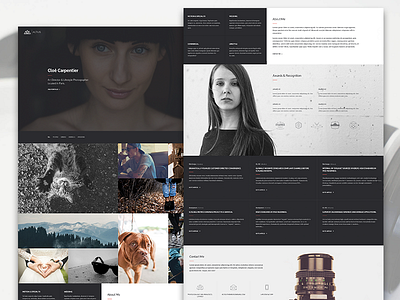 Altius | One Page Template for Photographers one page photography single page themeforest web design