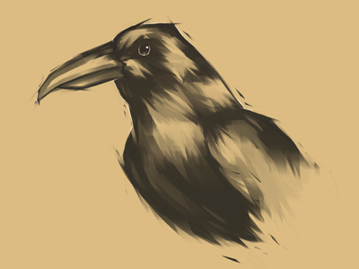 Crow autodesk bird cs5 digital painting illustration intuos 5 photoshop sketcbook sketch sketchbook pro