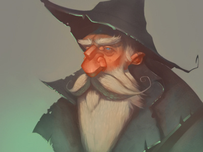 Wizard beard character design fantasy illustration wizard