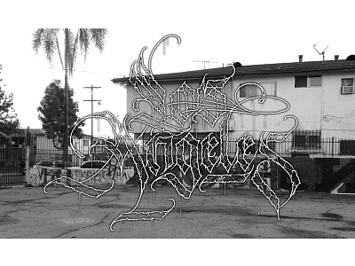 Los Angeles grafflab lettering losangeles photography