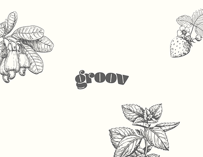 Groov branding design drawing drink flat illustration juice logo milk minimal packaging typography