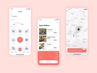 Food Delivery App Concept