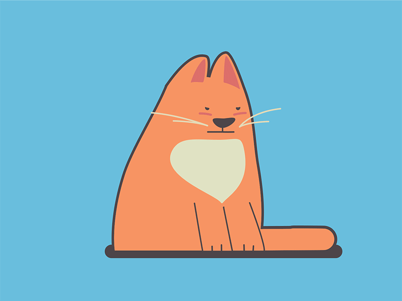 Hello Dribbble ! animation cat debut dribbble new welcome