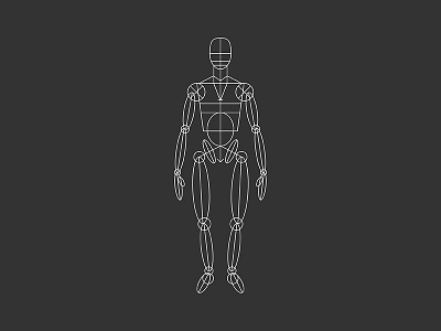 Mannequin anthropometry figure human mannequin perfect proportional tee tshirt