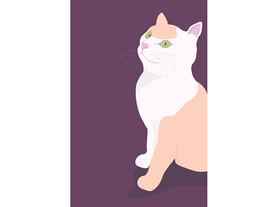 Patches - the cat adobe animal animals art cats character cute design draw illustration illustrator kitty pets simple vector