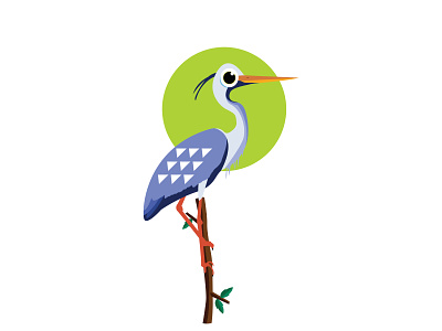 Grey Heron animation app design adobe xd uiux xd digital art illustration vector