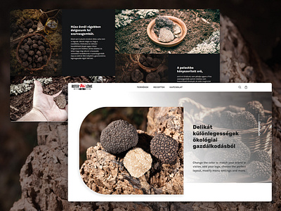 Webdesign for Roter Löwe design layout ui ui design webdesign website design wordpress