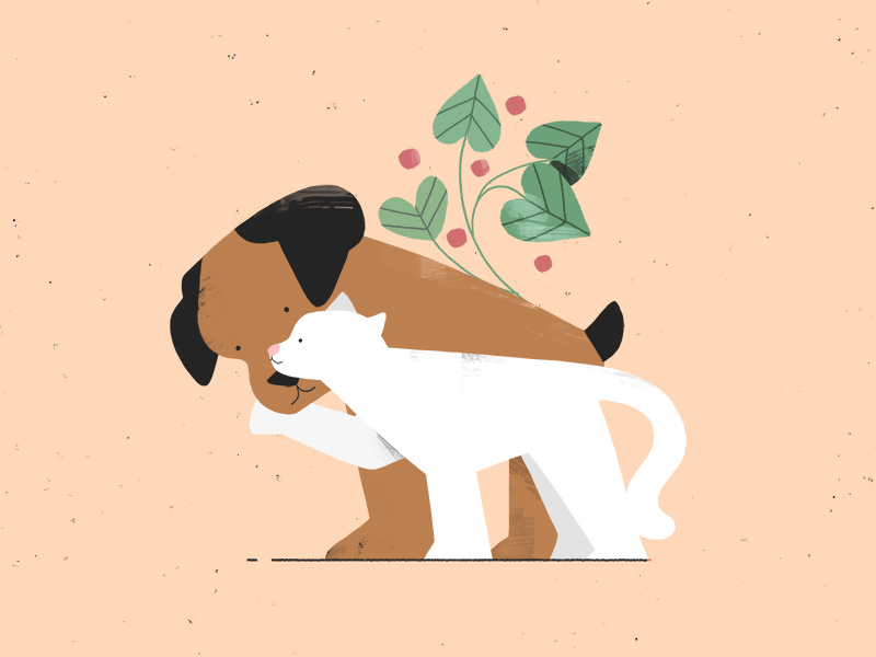 the snuggle is real. cat dog photoshop leaves plant character illustration 2d