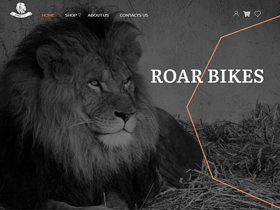 Roar Bikes