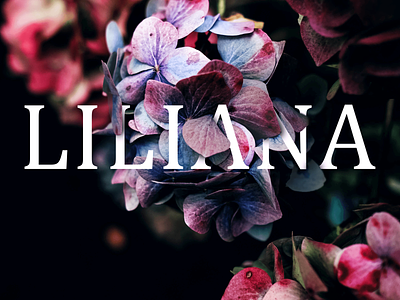 Liliana addobe blue classic design effects flower icon image imagination minimal name natural nature passion pattern photoshop pinky plants tools typography
