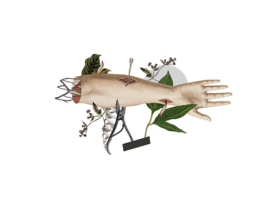 Transplante de brazo body collage illustration plants