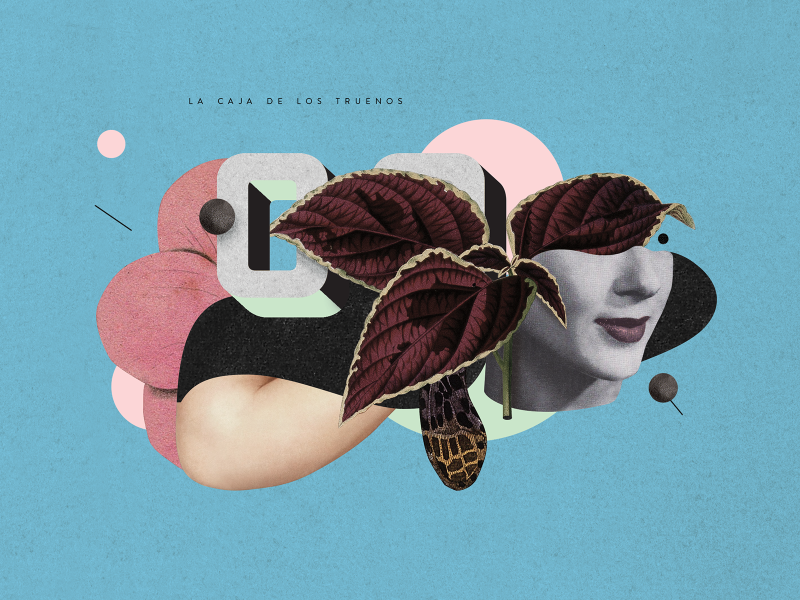 La caja de los truenos collage illustration plants woman