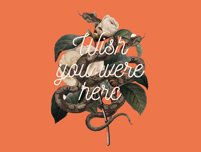 Wish You Were Here animals collage illustration plants snake type