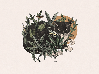 Buba cat collage illustration plants