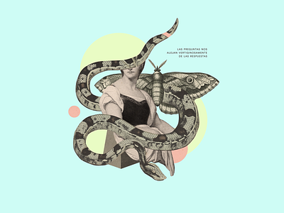 Las preguntas nos alejan vertiginosamente de las respuestas animals collage illustration snake woman