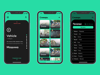 Language learning app app design interaction interface iphone mobile ui