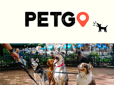 Petgo Logo Design