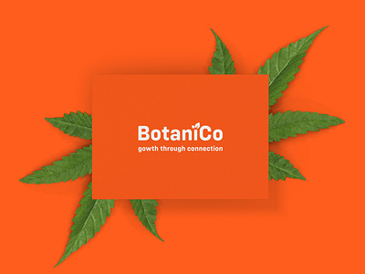 BotaniCo Branding