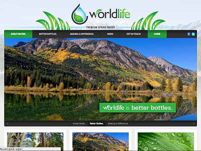 Worldlife Dribbble consumer product website wordpress