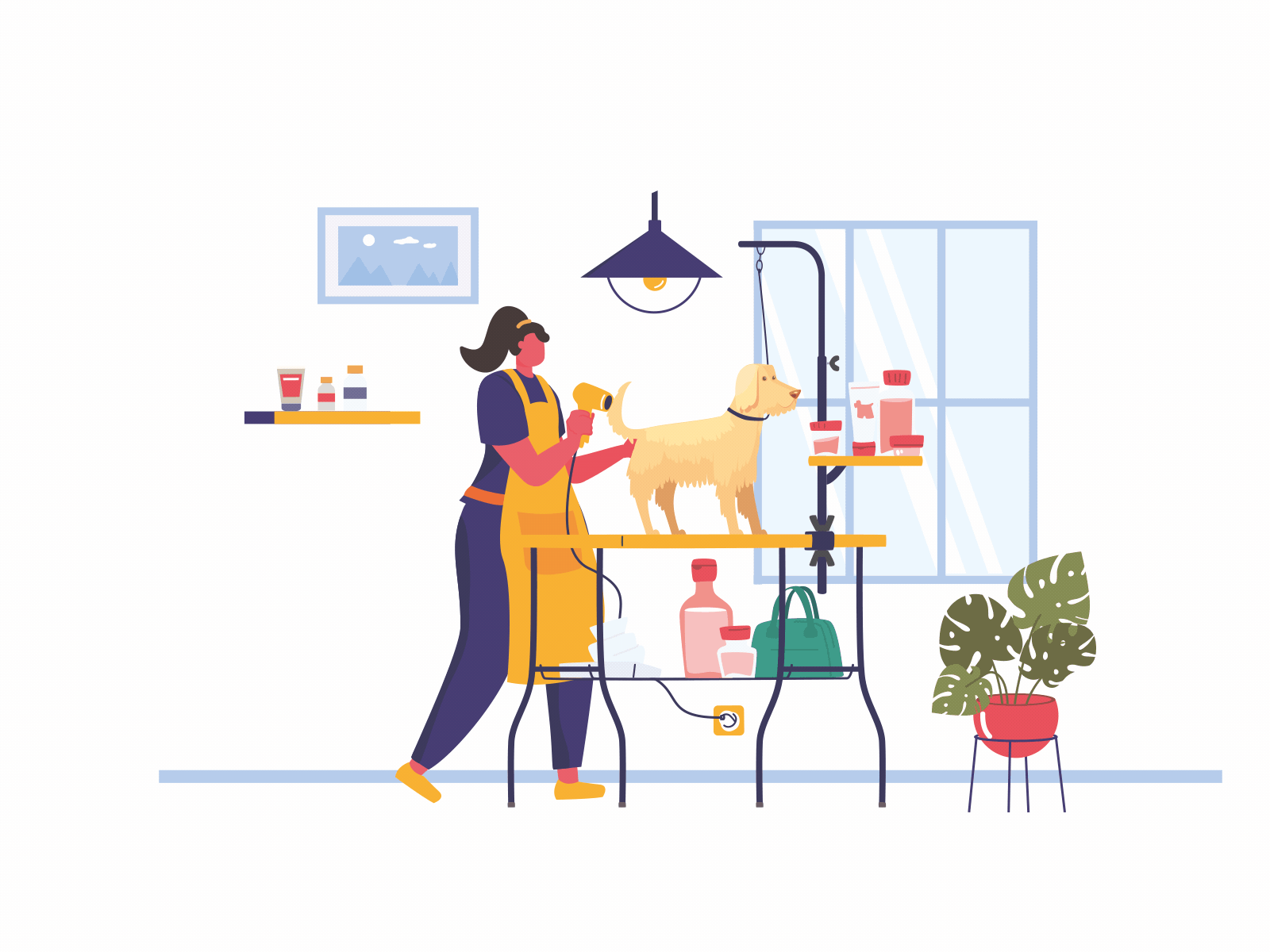 Grooming salon by Dima Oris on Dribbble