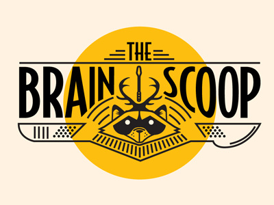 The Brain Scoop dead illustration museum raccoon scalpel soon raccoon taxidermy the brain scoop tshirt youtube