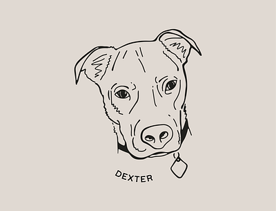 Dexter design digital art digital illustration dog dog art dog illustration dog portrait graphic design illustration minimal pet pet portrait procreate retro vintage