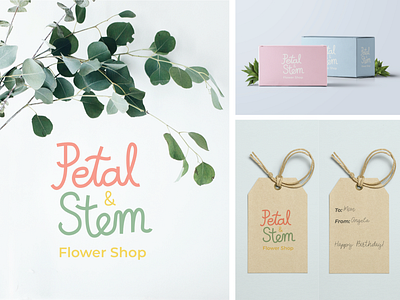 Petal & Stem Flower Shop Branding branding design digital art flower shop graphic design hand lettering handlettering logo packaging typography
