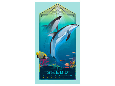 shedd aquarium anthony leon studio anthonyleonstudio aquarium design dolphins fish illustration illustrator art ocean posterdesign