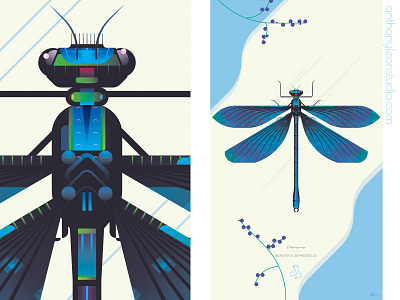 beautiful demoiselle anthony leon studio anthonyleonstudio demoiselle design dragonfly illustrator art insect posterdesign vector