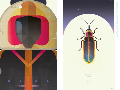 firefly anthony leon studio anthonyleonstudio design firefly illustrator art insect insectart posterdesign vector