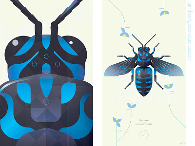 neon cuckoo bee anthony leon studio anthonyleonstudio bee cuckoobee design illustrator art insect posterdesign vector