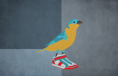 House Sparrow (the baller) bird hi tops illustration sneakers sparrow
