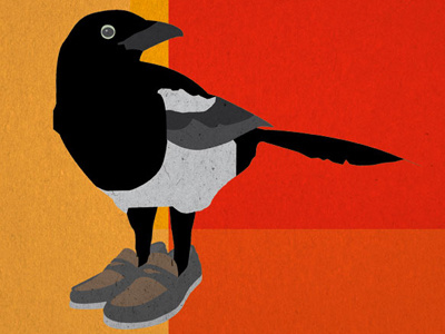 Magpie (The Loafer) bird drawing illustration loafers magpie texture