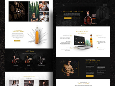 Tequila Web Design concept design designinpiration homepage interfacedesign tequila ui uidesign ux web website