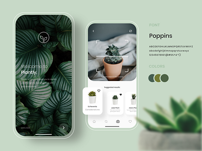 Plantly adobe xd interaction design interfacedesign minimal plant plant app plant logo ui ui ux ui design uidesign uiux ux