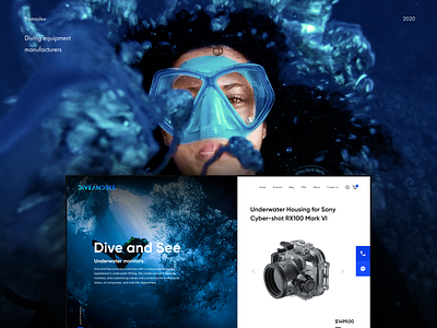 Dive and Sea branding creative design design unique design web design website