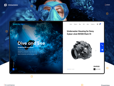 Dive and Sea Case branding creative design unique design web design website