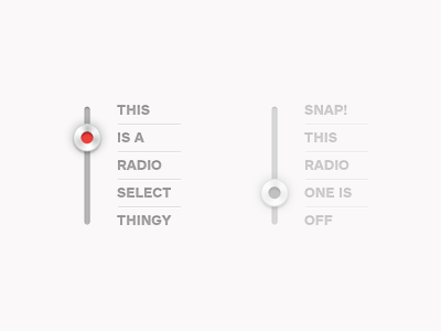 Radio Selector forms html radio ui web design