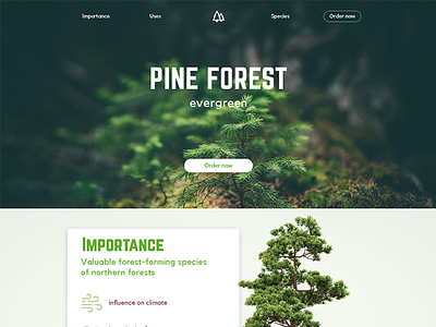 Pine Forest scketch interface landing page pine pines ui uiux