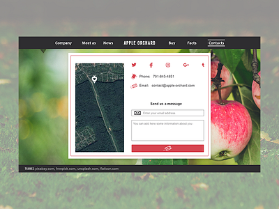 Apple Orchard website: Contacts