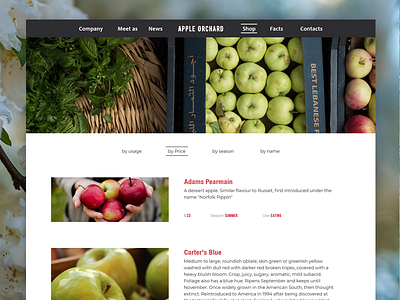 Apple Orchard: Shop page desktop interface ui uiux ux website