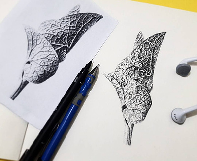Art Forms in Nature dot dots dotwork ink unipen